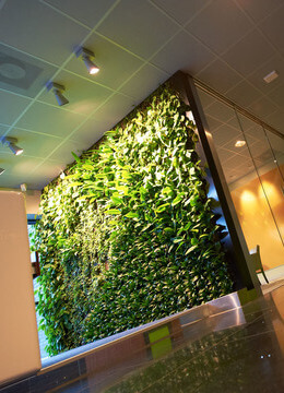 Groene wanden