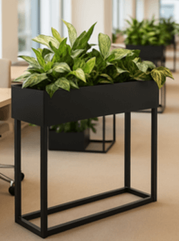 Planttray