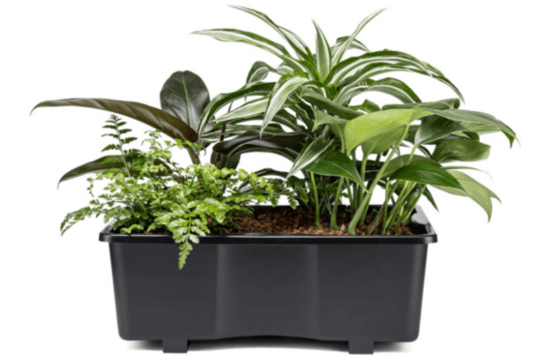 Planttray