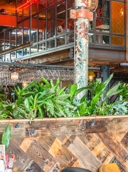 Snel interieurbeplanting nodig? 